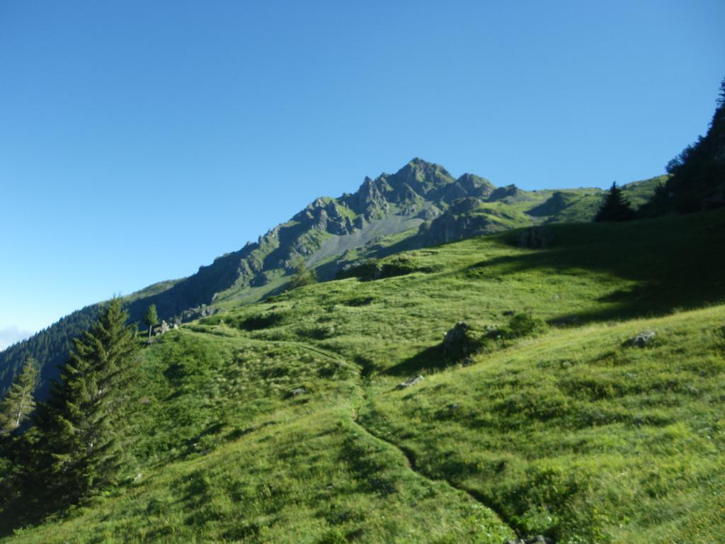Gite Le Cerf De Belledonne Sainte-Agnès Exterior foto