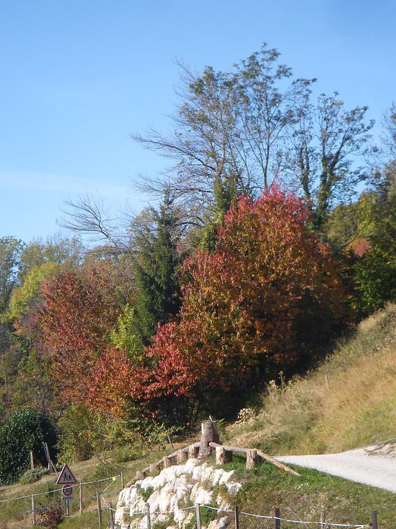 Gite Le Cerf De Belledonne Sainte-Agnès Exterior foto