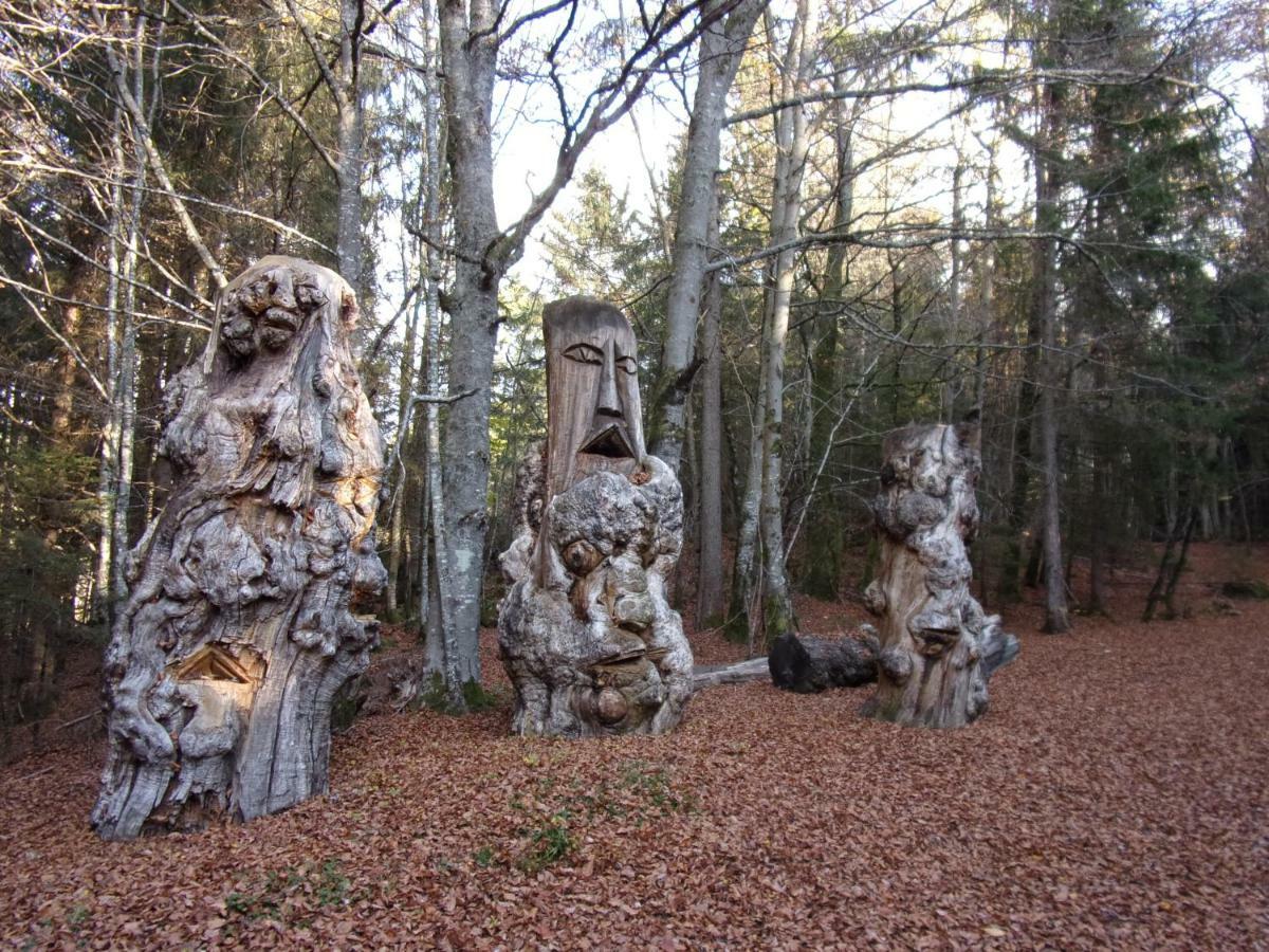Gite Le Cerf De Belledonne Sainte-Agnès Exterior foto
