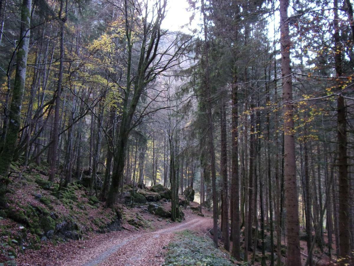 Gite Le Cerf De Belledonne Sainte-Agnès Exterior foto